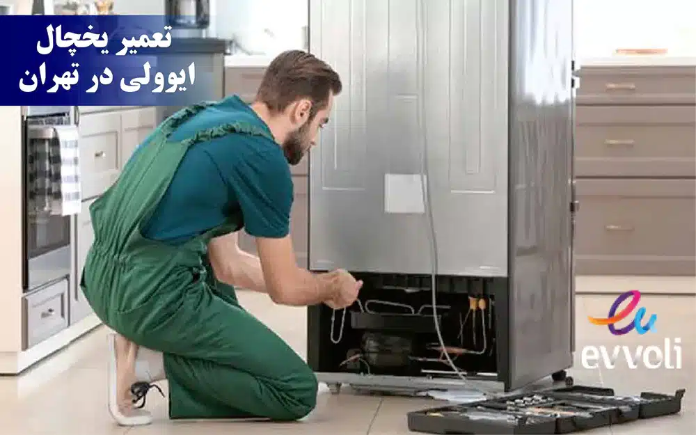 تعمیرکار لوازم خانگی ایوولی در تهران